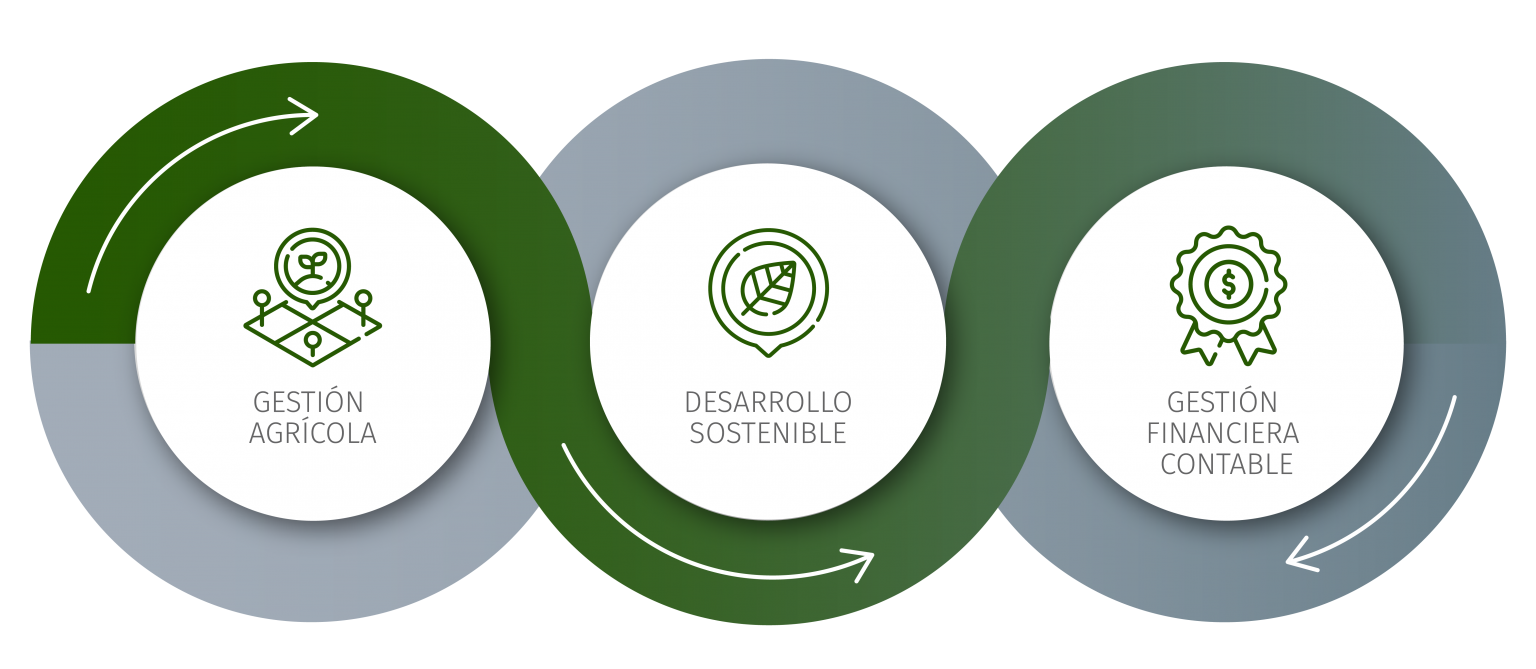 Sembrador Capital